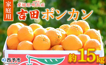 【先行予約】＜吉田ポンカン 家庭用 約15kg＞ 果物 くだもの フルーツ みかん ミカン 柑橘 吉田ぽんかん よしだぽんかん ヨシダポンカン ぽんかん 訳あり ご自宅用 特産品 株式会社笑丸 愛媛県 西予市【常温】『2027年1月下旬～2月下旬迄に順次出荷予定』AAN0058