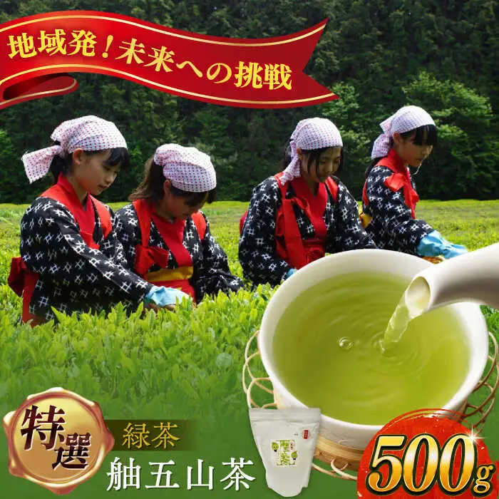 舳五山茶　特選500ｇ / 緑茶 茶葉 茶ば お茶 茶摘み / 御嵩町 / 舳五山茶園委員会[AVAD001]