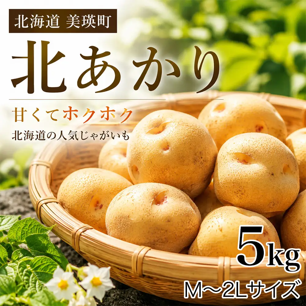 【先行予約】じゃがいも きたあかり 5kg ＜令和8年産＞ おおとり