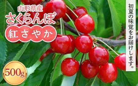 FYN6-051 ≪2027年先行予約≫山形県産 さくらんぼ 紅さやか 500g M～L バラパック詰め 2027年6月上旬から順次発送 果物 くだもの フルーツ 早生 サクランボ チェリー 自宅