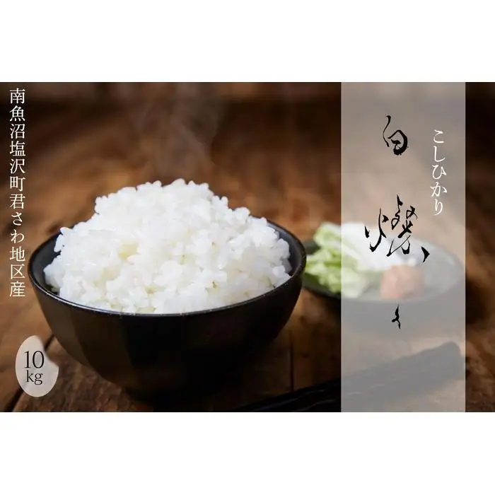 【令和8年産新米予約】南魚沼君沢産こしひかり　白燦々 10kg（従来品種）【銘柄米 ブランド米 精米 こしひかり コシヒカリ 魚沼産 新潟米 産地直送 お米 米 こめ コメ ご飯 御飯 ごはん】【2026年10月初旬より1ヵ月以内に順次発送予定】