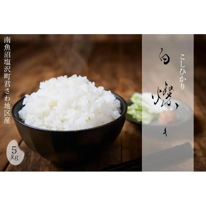【令和8年産新米予約】南魚沼君沢産こしひかり　白燦々5kg【玄米】（従来品種）【銘柄米 ブランド米 玄米 こしひかり コシヒカリ 魚沼産 新潟米 産地直送 お米 米 こめ コメ ご飯 御飯 ごはん】【2026年10月初旬より1ヵ月以内に順次発送予定】