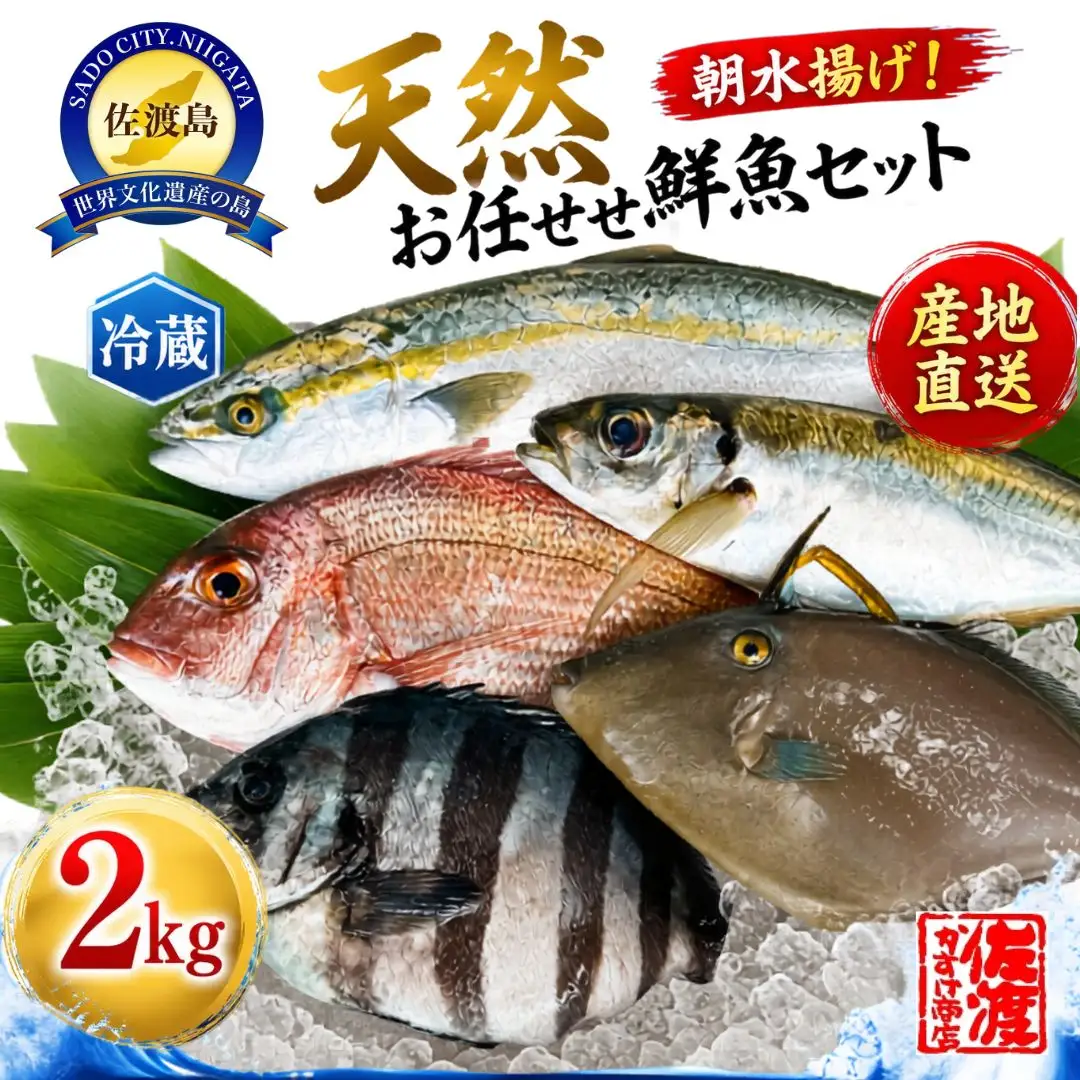 魚 詰め合わせ 2kg | 新潟県 佐渡市 鮮魚