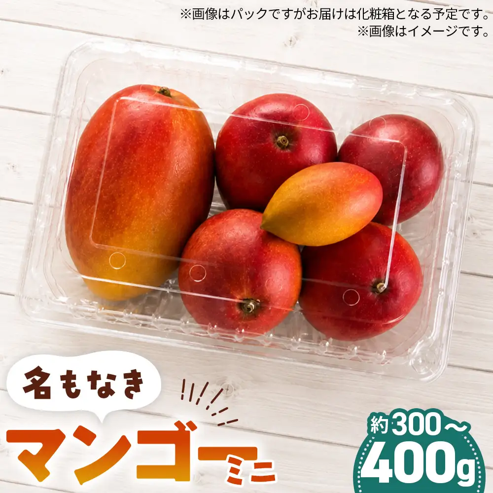 名もなきマンゴー ミニ 詰め合わせ 約300～400g　大きさ不揃い ／ マンゴー 果物 国産 フルーツ 完熟 詰合せ 珍しい 満足 サイズ 小さい バラバラ 大阪府 No.369