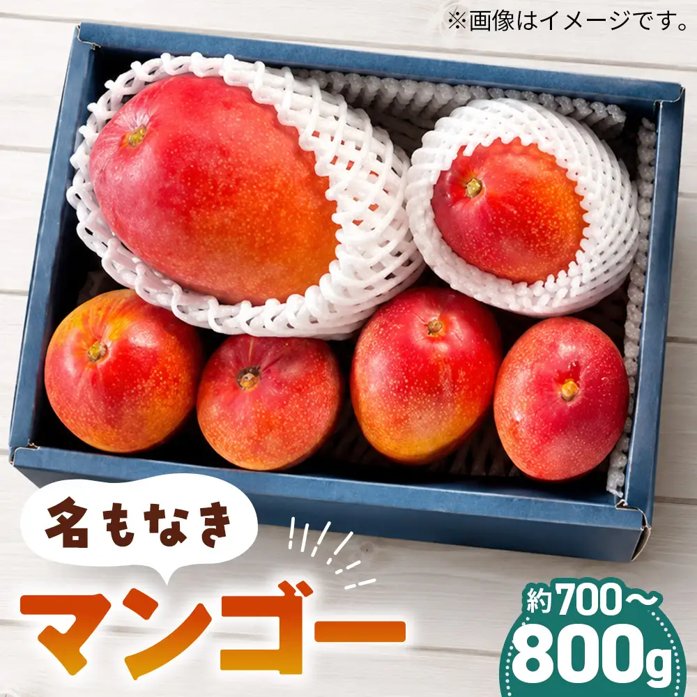 名もなきマンゴー 詰め合わせ 約700～800g　大きさ不揃い ／ マンゴー 果物 国産 フルーツ 完熟 詰合せ 珍しい 満足 サイズ バラバラ 大阪府 No.372