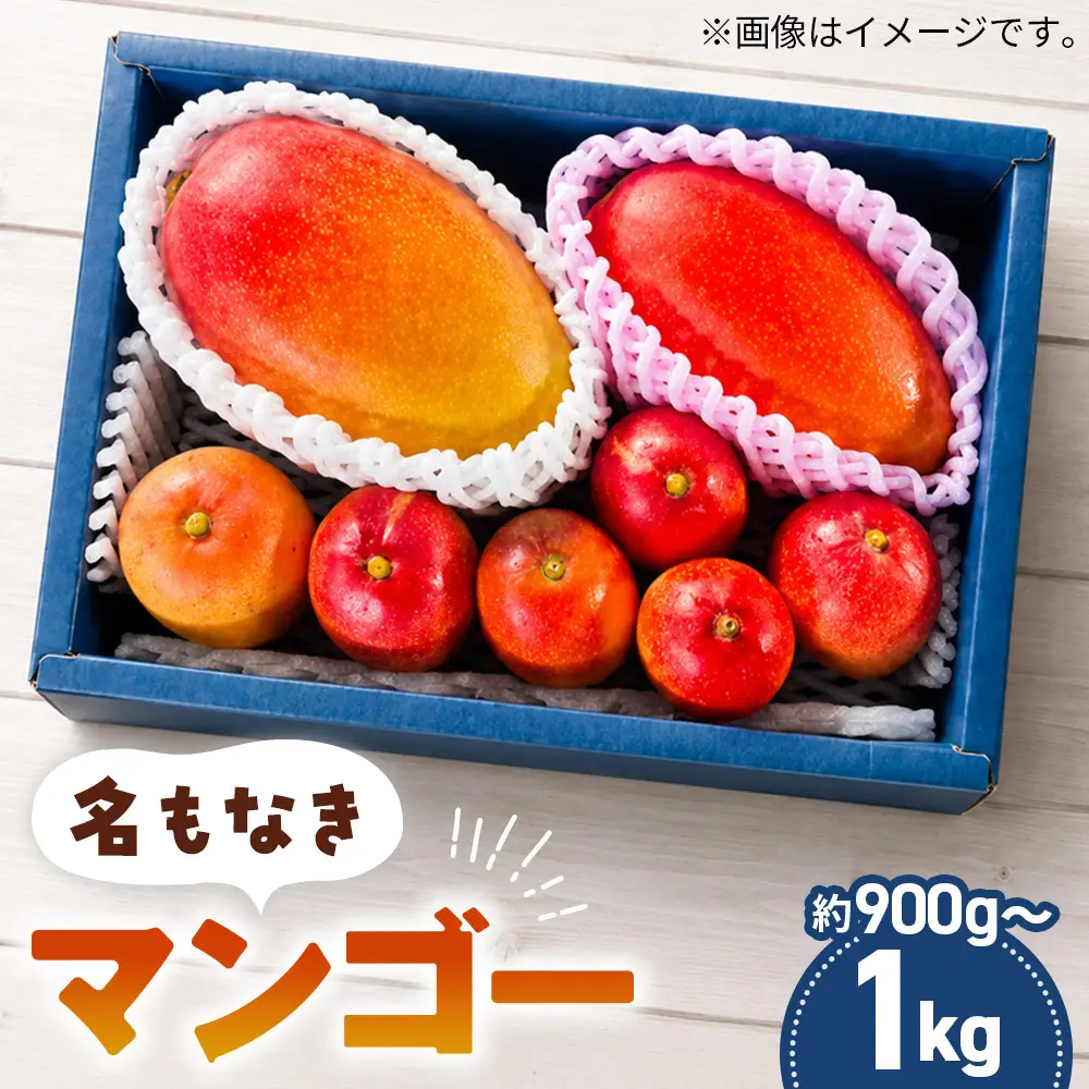 名もなきマンゴー 詰め合わせ 約900g～1kg　大きさ不揃い ／ マンゴー 果物 国産 フルーツ 完熟 詰合せ 珍しい 満足 サイズ バラバラ 大阪府 No.374