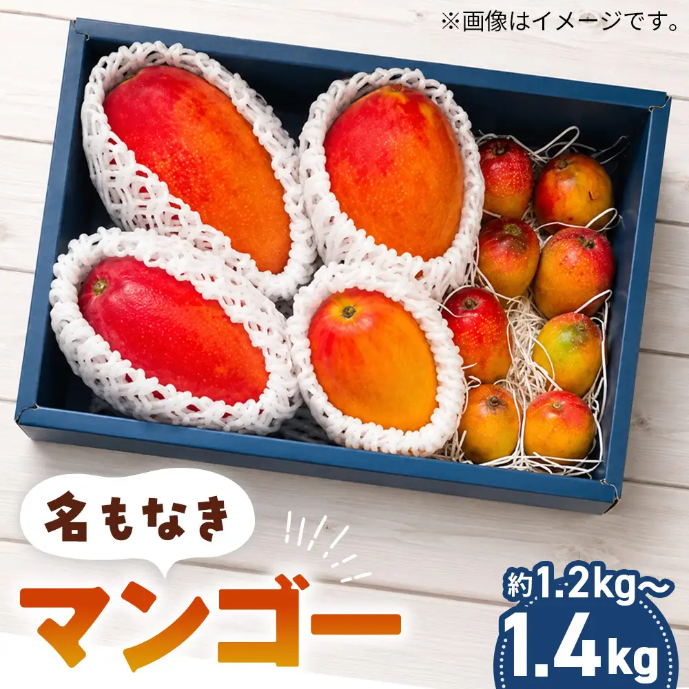 名もなきマンゴー 詰め合わせ 約1.2～1.4kg　大きさ不揃い ／ マンゴー 果物 国産 フルーツ 完熟 詰合せ 珍しい 満足 サイズ バラバラ 大阪府 No.375