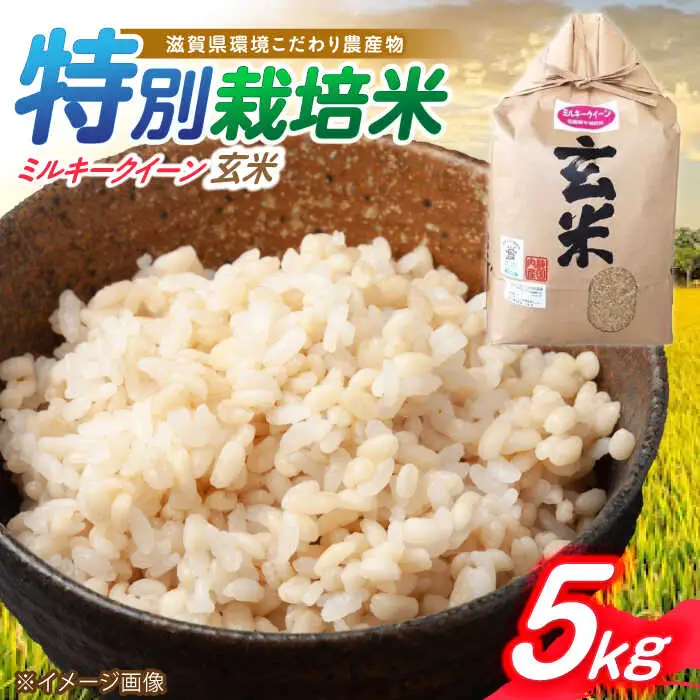 低農薬栽培 ミルキークイーン 玄米5kg[AQBL022] 玄米