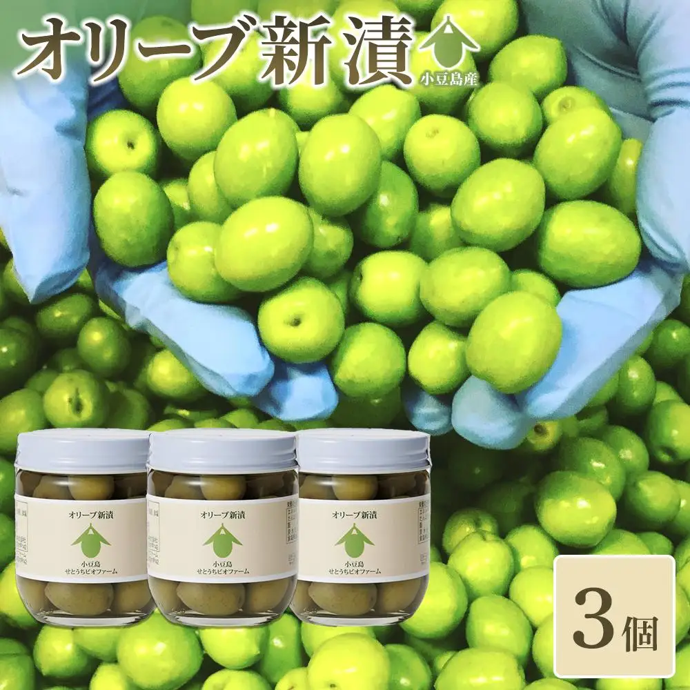 オリーブ新漬（90g×3個）