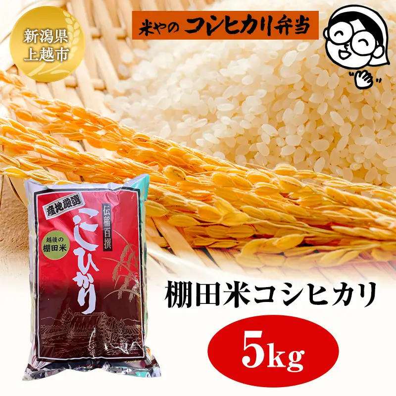 棚田米コシヒカリ 5kg 上越市 精米 コメ 米 ブランド米 上越ベイコク