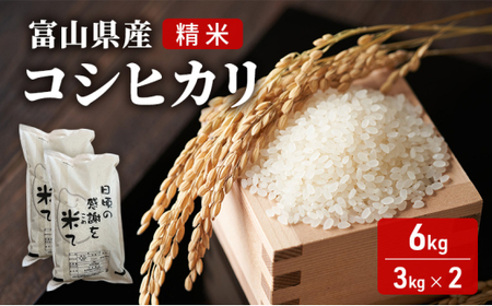 米 日頃の感謝を米て 6kg（3kg×2） コシヒカリ 精米 白米 お米 こめ コメ 富山県 高岡市 FAD-1417