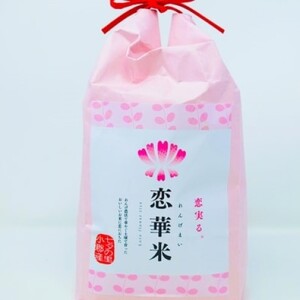 米 2kg れんげ栽培 恋華米 精米 コメ 白米 