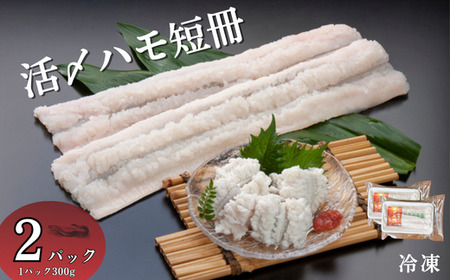 活〆鱧短冊300g×2 冷凍 鱧 ハモ 鱧短冊 北風鮮魚 愛媛県 伊予市 | B396