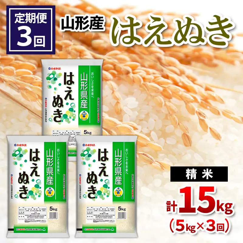 【令和8年産】 【定期便3回】山形産 はえぬき 精米 5kg×3回 FY26-263