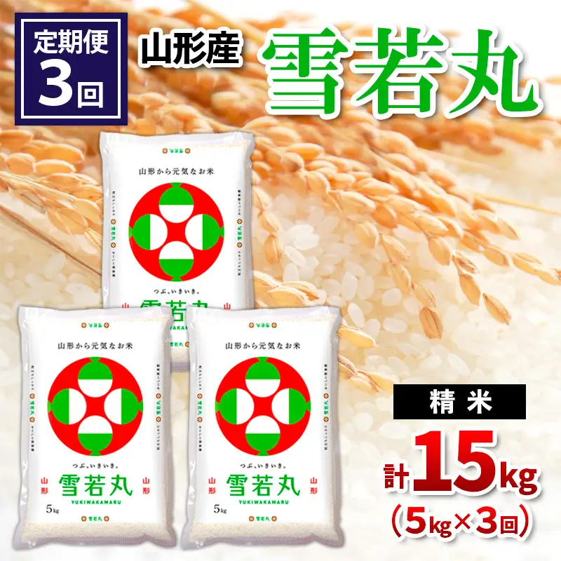 【令和8年産】 【定期便3回】山形産 雪若丸 精米 5kg×3回 FY26-258