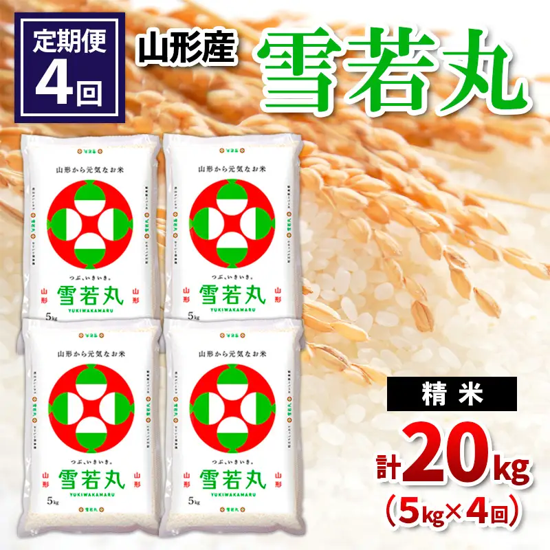 【令和8年産】 【定期便4回】山形産 雪若丸 精米 5kg×4回 FY26-259