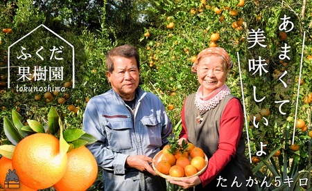 ≪今が旬！≫ねぇ美味しいよ。徳之島 ふくだ果樹園さんのたんかん（5kg） ( タンカン フルーツ みかん 果物 柑橘 福田果樹園 徳之島 奄美 鹿児島 もぎたて フレッシュ 世界自然遺産 先行予約 )