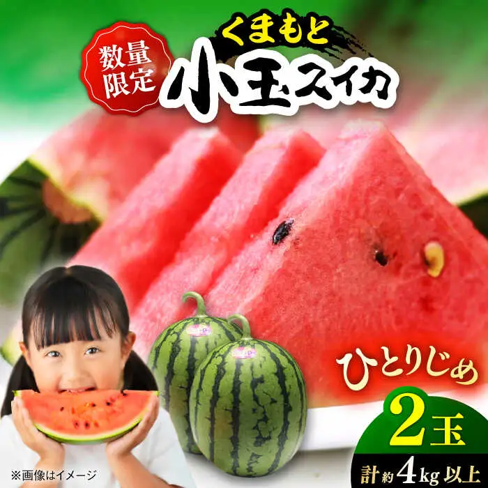 【先行予約】【初夏に実った贈り物】 小玉 スイカ 約4?4.5kg以上【なかむら農園】[ZBH004]