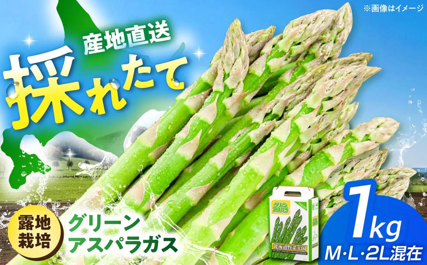 【先行予約】アスパラガス 1kg（M・L・2L込） アスパラ 北海道 AJAM010 【先行予約】