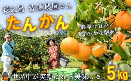 ≪今が旬！≫世界中が笑顔になるね！佐原農園さんのたんかん（5kg） ( タンカン 果物 フルーツ 柑橘 みかん 鹿児島 奄美 徳之島 美味しい 旬 果肉 )
