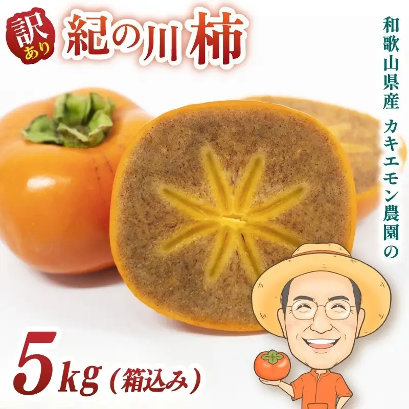 【訳あり・ご家庭用】紀の川 柿 約5kg 18個前後 カキエモン農園 【2026年10月中旬～11月下旬頃順次発送】【BX004-kkem004A】