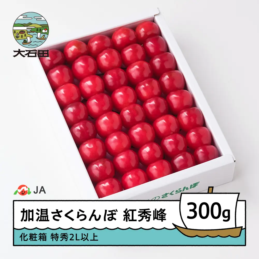 【先行予約】 加温 さくらんぼ 紅秀峰 特秀 2L玉 化粧箱 300g 令和9年産  ja-bsk2x300