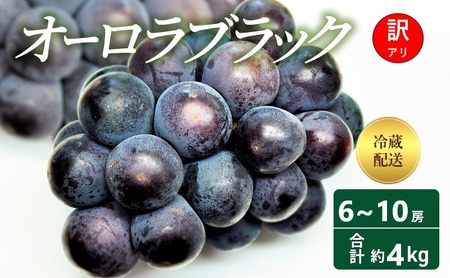 訳あり ぶどう オーロラブラック 6～10房 合計約4kg 岡山県 高梁市産 2026年 先行予約 クール便 冷蔵 フルーツ 葡萄 ブドウ 産地直送 大粒 爽やか 食べやすい