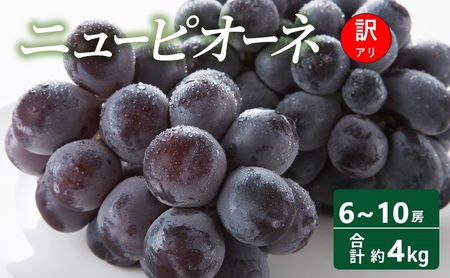 訳あり ぶどう ニューピオーネ 6～10房 合計約4kg 岡山県 高梁市産 2026年 先行予約 常温 フルーツ 葡萄 ブドウ 種無し 産地直送 大粒 爽やか 食べやすい