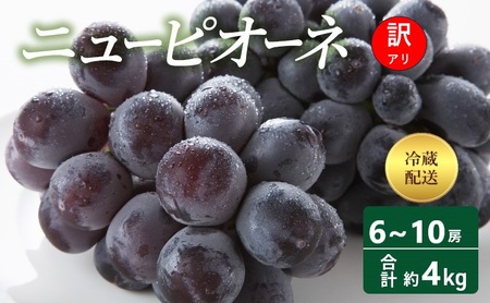 訳あり ぶどう ニューピオーネ 6～10房 合計約4kg 岡山県 高梁市産 2026年 先行予約 クール便 冷蔵 フルーツ 葡萄 ブドウ 種無し 産地直送 大粒 爽やか 食べやすい