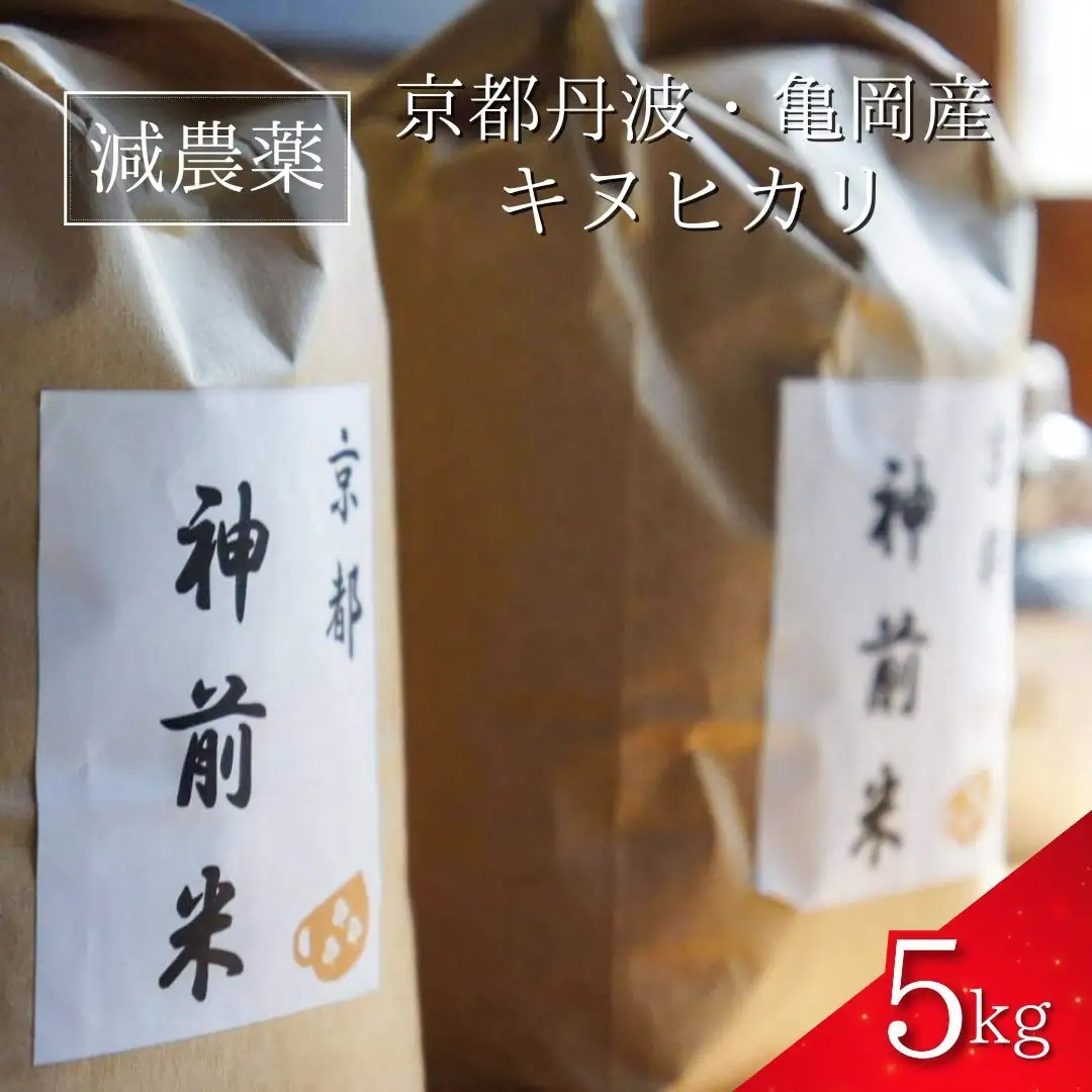 米 5kg 神前米 キヌヒカリ 精米