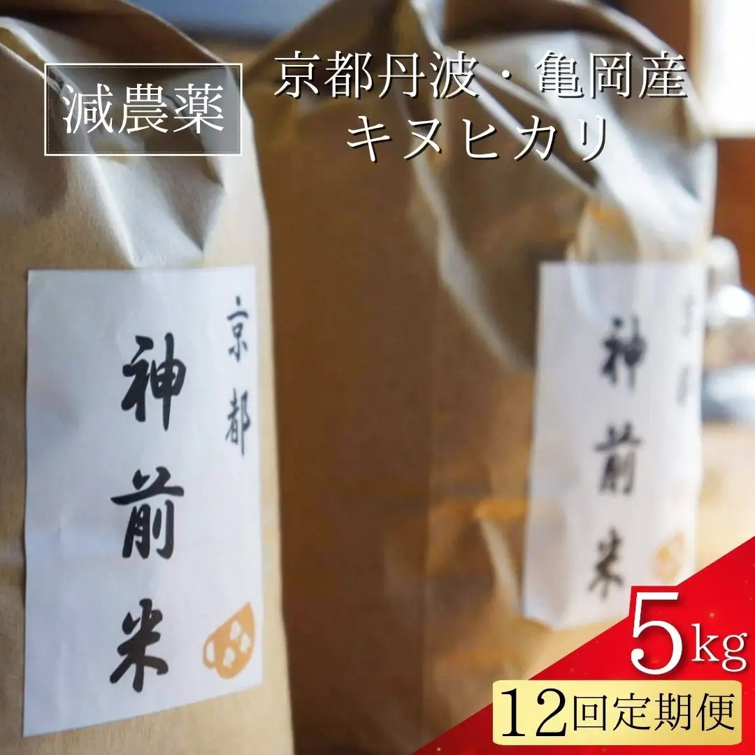 【令和7年産】新米 先行予約 5kg ×12回 京都・神前米 キヌヒカリ 5kg×12ヶ月 計60kg