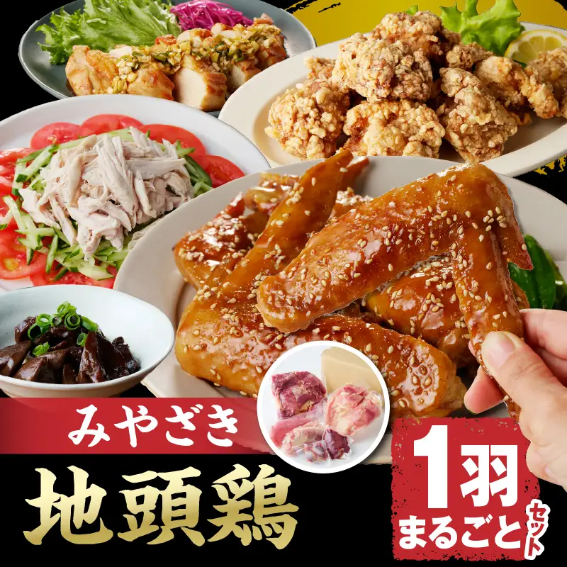 数量限定 みやざき地頭鶏 1羽まるごとセット 肉 鶏肉 国産 食品 小分け 食べ比べ もも むね ささみ 手羽先 手羽元 砂肝 レバー おかず おつまみ お弁当 晩ご飯 から揚げ サラダ 真空パック 冷凍 おすすめ ギフト 贈り物 贈答 宮崎県 日南市 送料無料_DC22-24