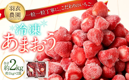 福岡県産 羽衣農園の 冷凍 あまおう 約2kg 約1kg × 2袋 ／ あまおう 苺 イチゴ いちご ストロベリー フルーツ 果物 冷凍