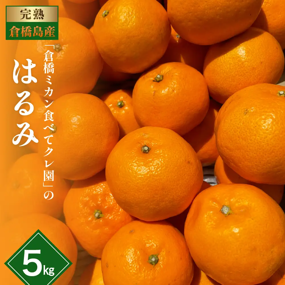 【先行受付】【2027年1月下旬～発送】倉橋ミカン食べてクレ園 はるみ 約5kg 柑橘 産地直送 広島県 呉市 倉橋島 ku154-005-26