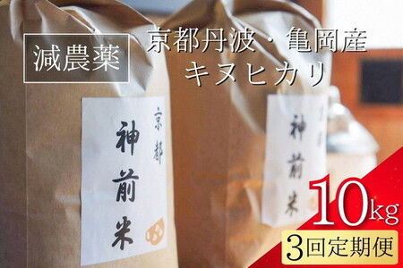 【3回定期便】神前米 キヌヒカリ 10kg 定期便 精米 白米