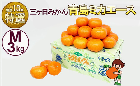 三ケ日みかん 青島 【特選 ミカエース】 Mサイズ3kg(27個前後) ミカン 果物 くだもの フルーツ 甘い 果物類 柑橘類 静岡 浜松市【配送不可：北海道・沖縄・離島】