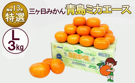 三ケ日みかん 青島 【特選 ミカエース】 Lサイズ3kg(23個前後) ミカン 果物 くだもの フルーツ 甘い 果物類 柑橘類 静岡 浜松市【配送不可：北海道・沖縄・離島】