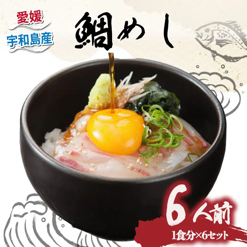 鯛めし 6食 有限会社 アクアプラス 簡単 簡単 D020-090004