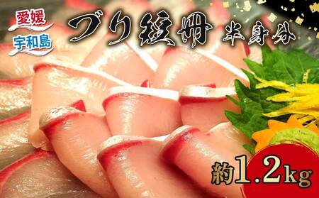 鰤 冊 半身分 約 1.2kg 短冊 有限会社 アクアプラス 鰤 D030-090003
