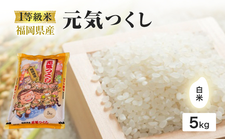 1等級米 米 1粒からこだわる 福岡県産米 元気つくし 白米 5kg お米 コメ 令和7年度産