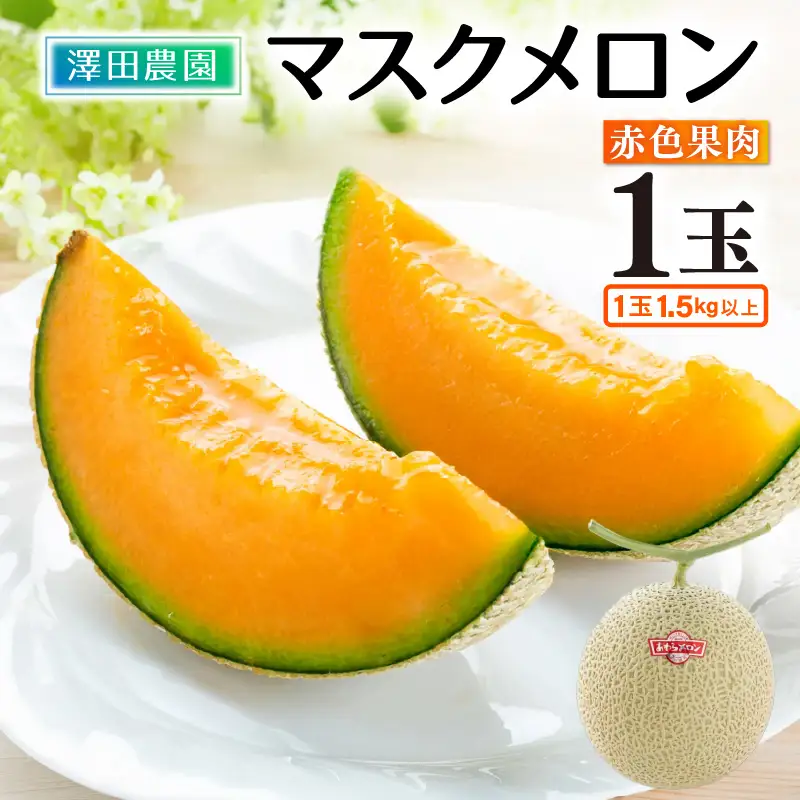 【先行予約】赤肉マスクメロン（1.5kg以上 1玉入）味も見た目も抜群！アールスメロン / 期間限定 果物 フルーツ 産地直送 赤肉 人気 ギフト 贈答 ※2027年7月上旬より順次発送 [aw039-a027]