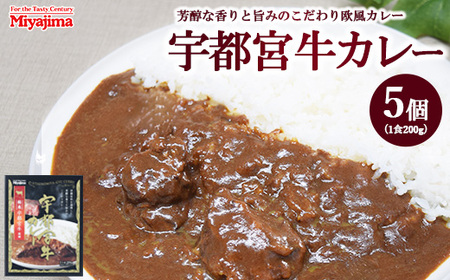 宇都宮牛カレー 200g×5個セット