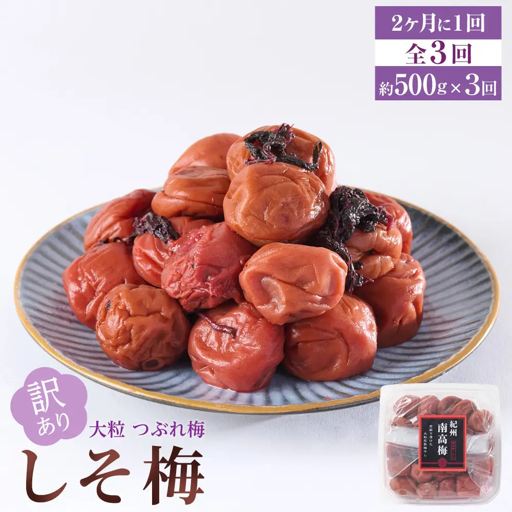 訳あり 梅干し 大粒 大玉 つぶれ梅 しそ梅 約500g × 3回 塩分10％ [ 定期便 2か月に１回発送・全3回 ]