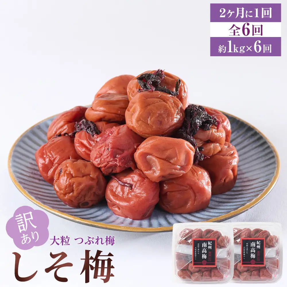 訳あり 梅干し 大粒 大玉 つぶれ梅 しそ梅 約1kg (500g×2)  × 6回 塩分10% [ 定期便 2か月に１回発送・全6回 ]