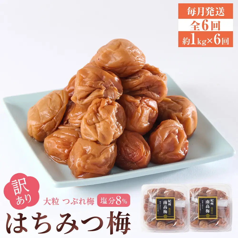 訳あり 梅干し 大粒 大玉 つぶれ梅 はちみつ梅 約1kg(500g×2) × 6回  塩分8％ [ 定期便 毎月発送・全6回 ]