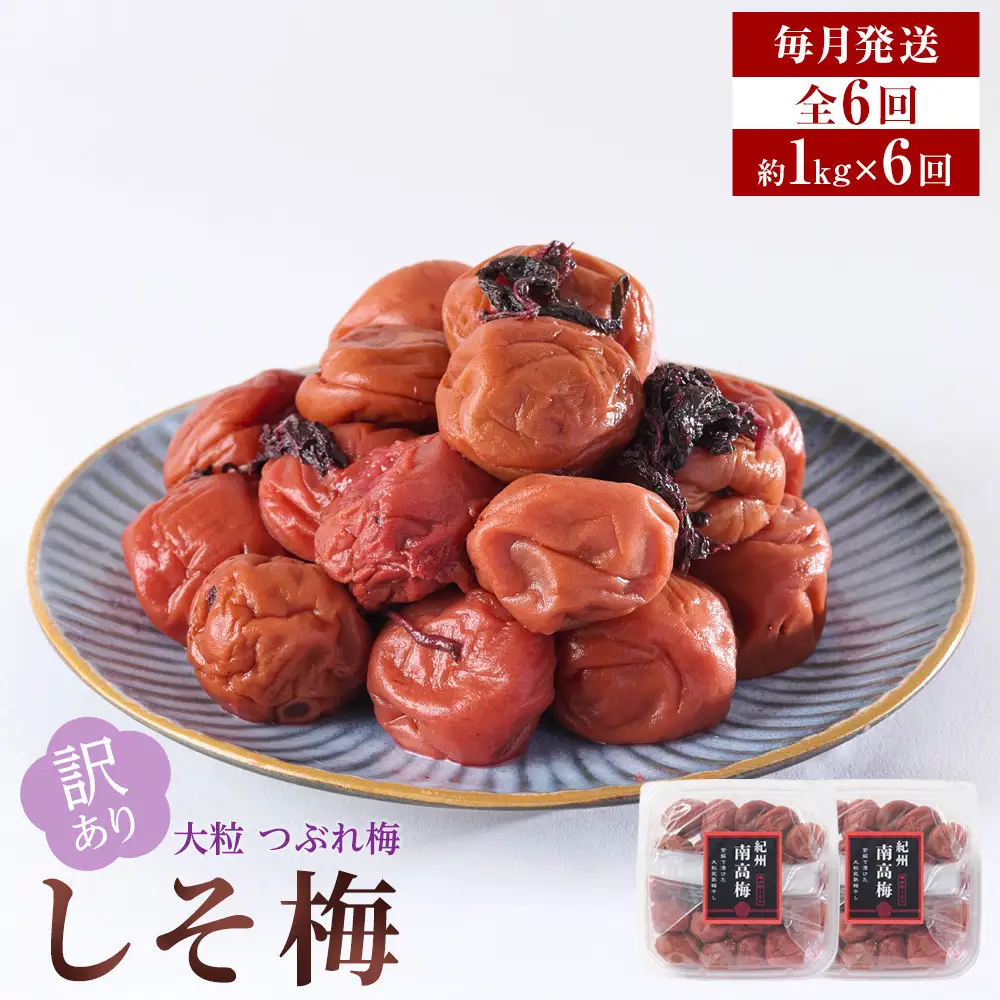 訳あり 梅干し 大粒 大玉 つぶれ梅 しそ梅 約1kg (500g×2)  × 6回 塩分10% [ 定期便 毎月発送・全6回 ]
