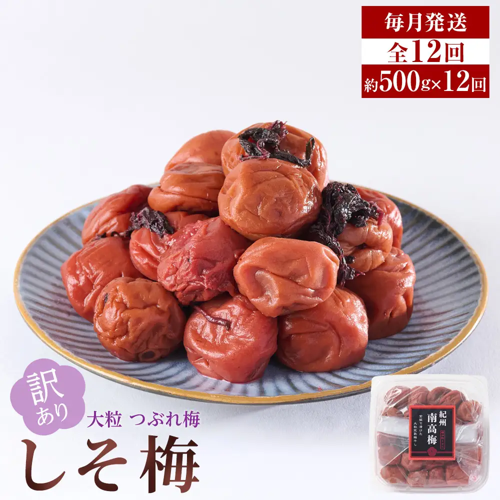 訳あり 梅干し 大粒 大玉 つぶれ梅 しそ梅 約500g × 12回 塩分10％ [ 定期便 毎月発送・全12回 ]