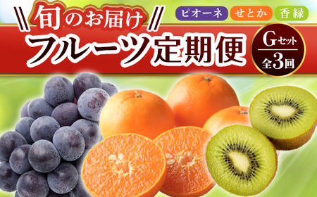 【フルーツ定期便 3回】 《ピオーネからスタート》 Gセット ピオーネ 約1.2kg 香緑 約3kg せとか 約5kg ぶどう キウイ キウイフルーツ みかん 柑橘 旬 果物 国産 香川県 フルーツ定期便 F5J-799