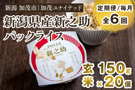 【定期便6ヶ月毎月お届け】新潟県産 新之助 玄米パックライス（150g×20個入）