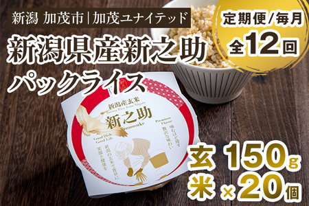 【定期便12ヶ月毎月お届け】新潟県産 新之助 玄米パックライス（150g×20個入）